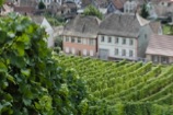 Alsac_Frankreich