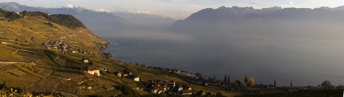 leman