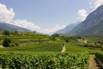 Wallis
