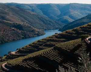 douro landschaft 500