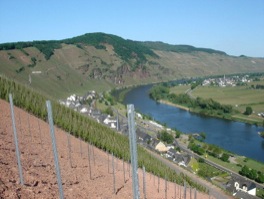 mosel_landschaft