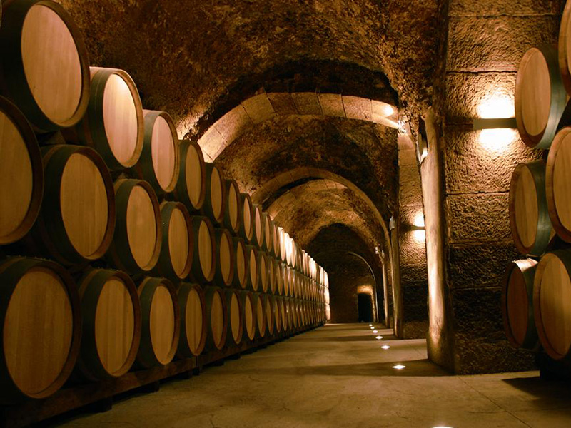 wein spanien weinkeller getraenkehuus langenthal